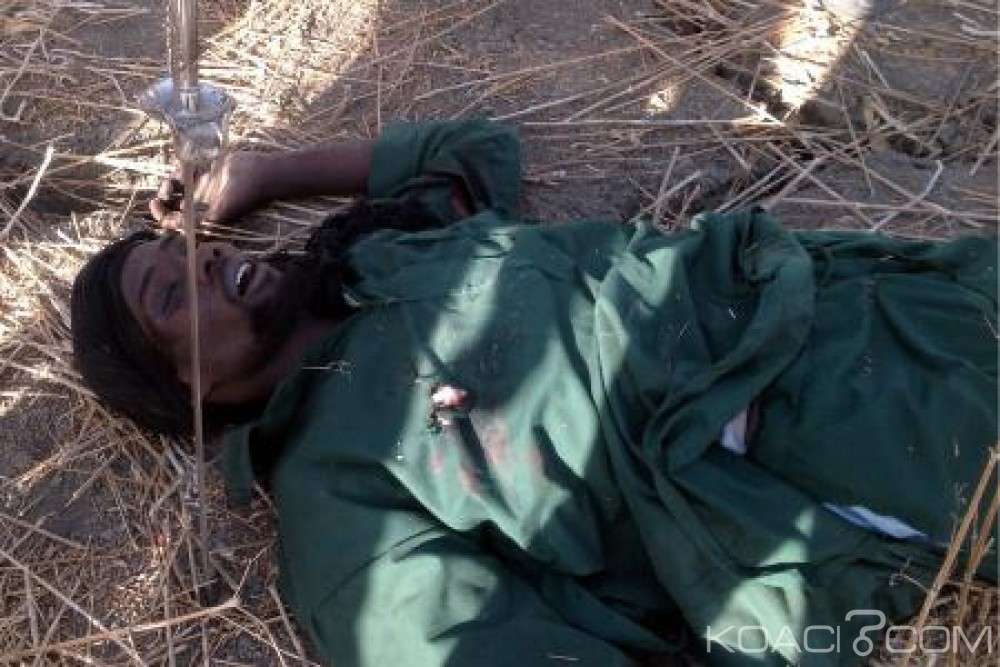 Niger: Boko Haram fait 291 morts et 143 blessés en deux ans