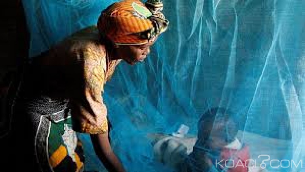 Cameroun: Paludisme, 70% des 4000 décès enregistrés sont des femmes enceintes