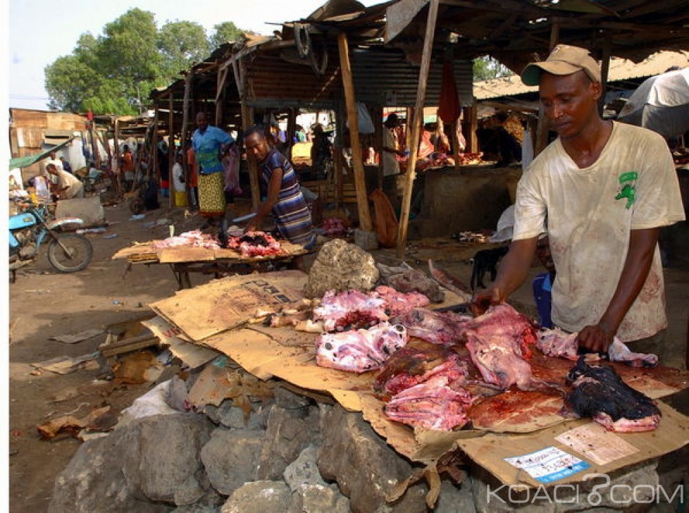 Côte d'Ivoire: Viande avariée en provenance du Brésil, voici les dispositions prises par Abidjan