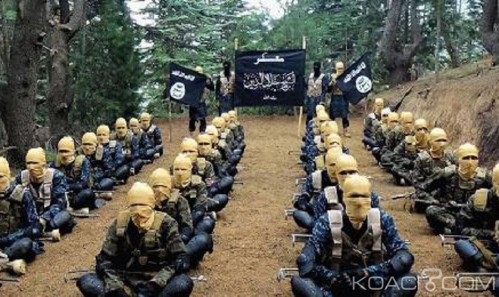 Nigeria: En manque de  vivres, des hommes d'Al Barnaoui attaquent un village sans faire de victimes