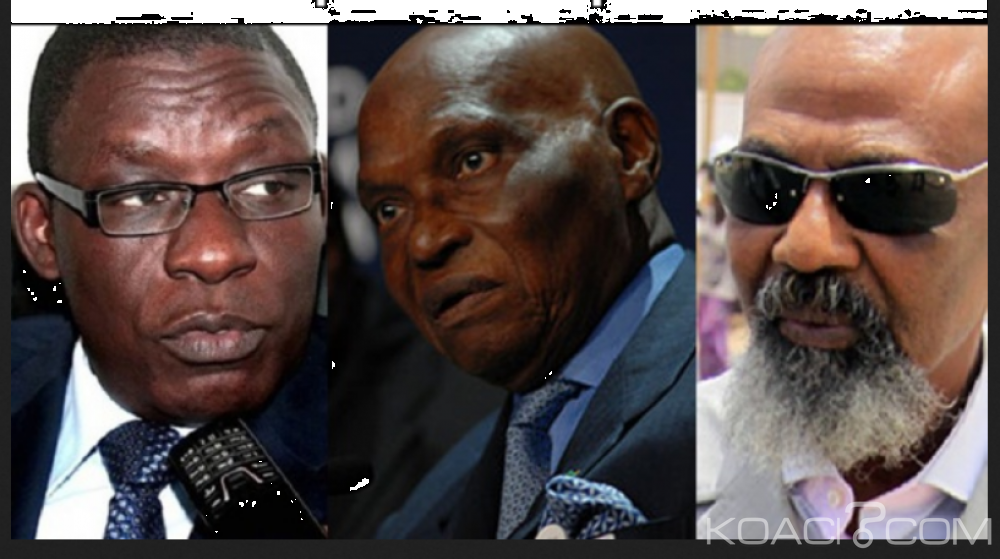 Sénégal: Deux grosses pointures exclus du Pds pour actes de défiance à  l'égard du Sg adjoint