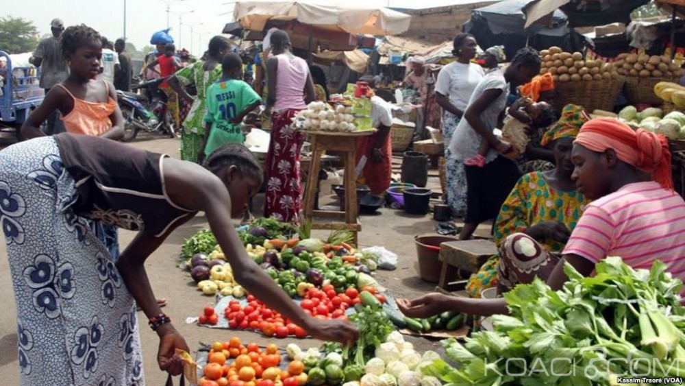 Côte d'Ivoire: Agrobusiness, le Gouvernement rassure les souscripteurs