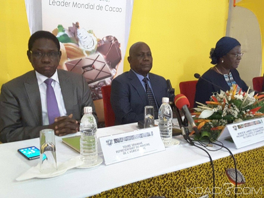 Côte d'Ivoire: Campagne intermédiaire de cacao, l'Etat obligé d'injecter 43, 400 milliards de FCFA pour soutenir le prix de 700 FCFA