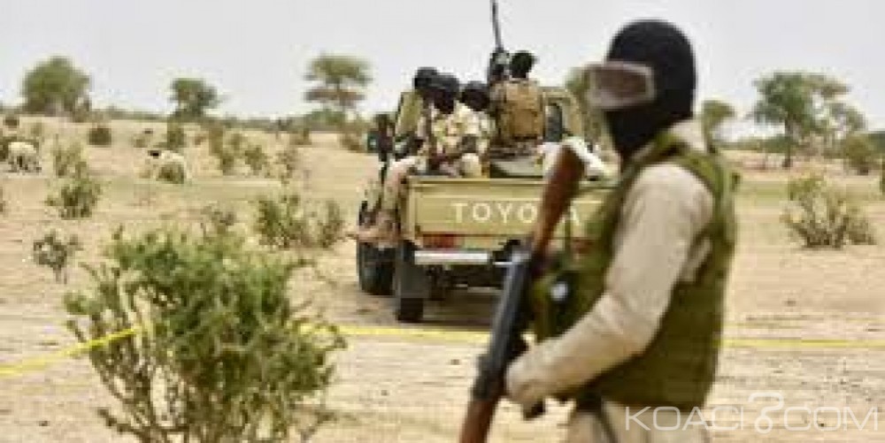 Niger: Une patrouille tombe dans une embuscade de Boko Haram, un mort et 11 blessés