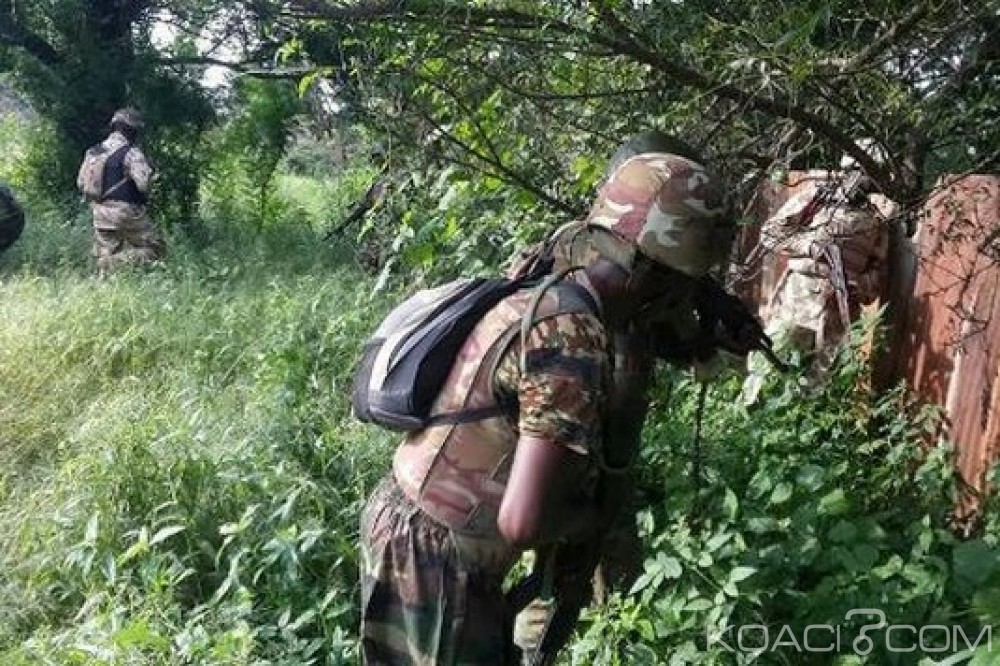 Nigeria: Le vrai Shekau recherché par l'Armée