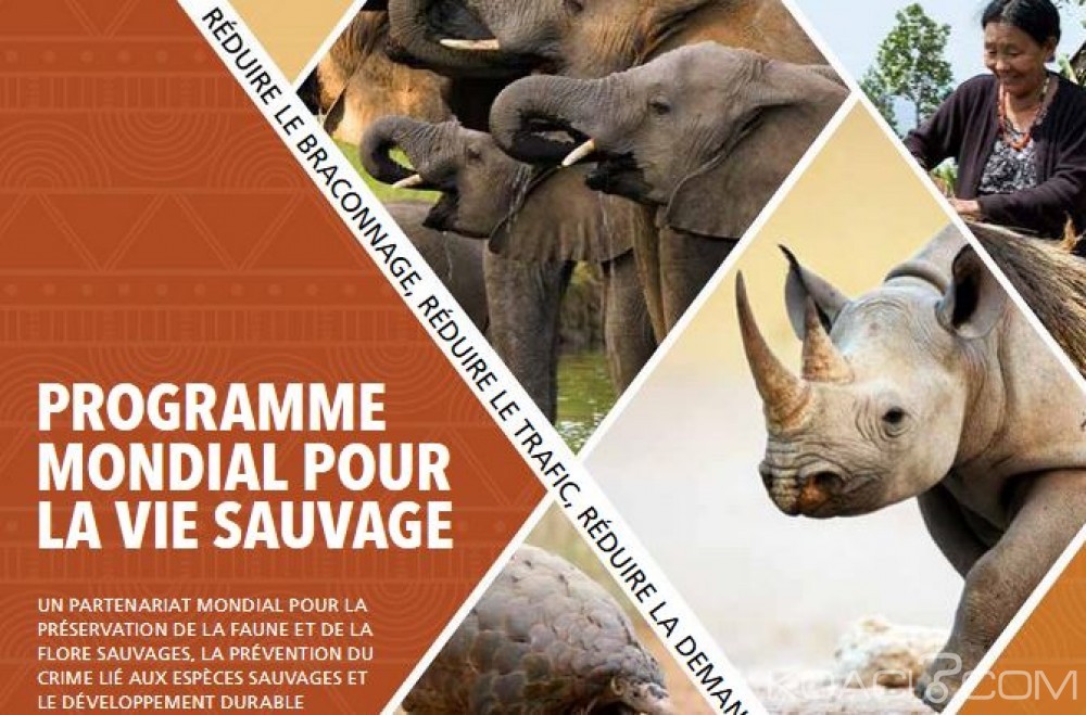 Gabon: Voisinage entre les humains et les animaux, conférence à  la Lopé et à  Libreville