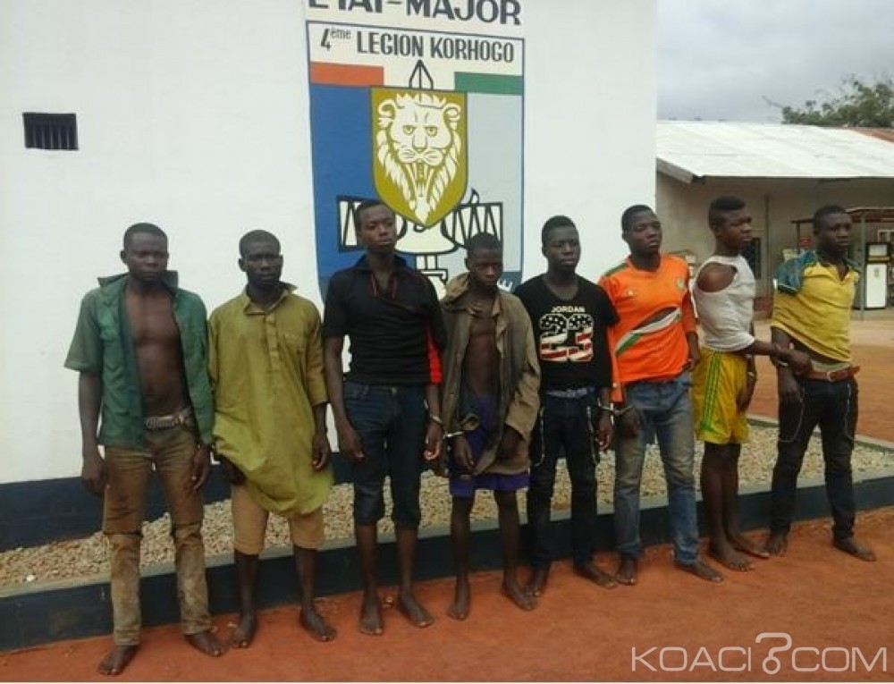 Côte d'Ivoire: Des présumés coupeurs de route mis aux arrêts dans le Nord du pays
