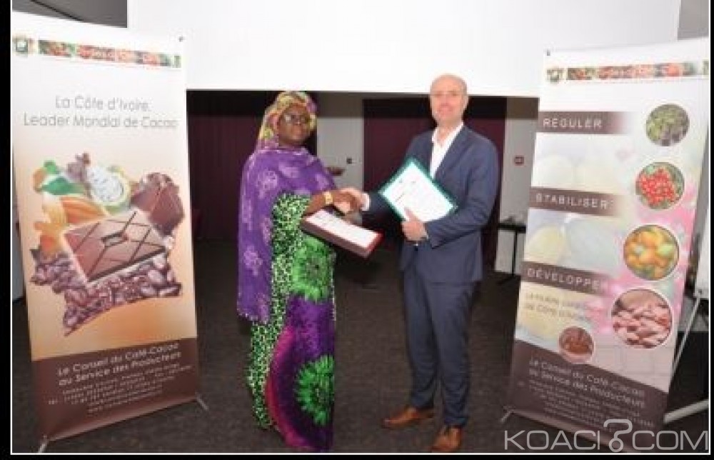 Côte d'Ivoire: Café-cacao, un protocole d'accord signé entre le Conseil et IDH pour « améliorer » les conditions de vie des producteurs