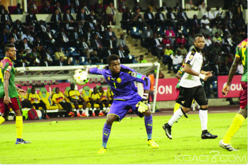 Cameroun: Classement Fifa avril 2017, les Lions indomptables perdent une place