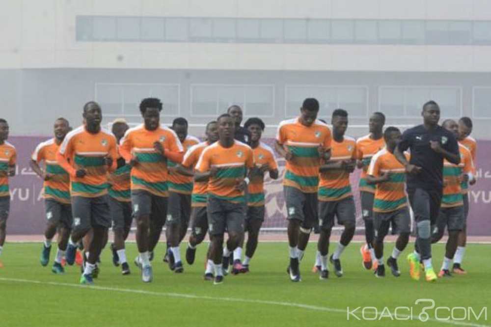 Côte d'Ivoire: Classement FIFA du mois d'Avril, les éléphants 9ème africain et 48ème mondial