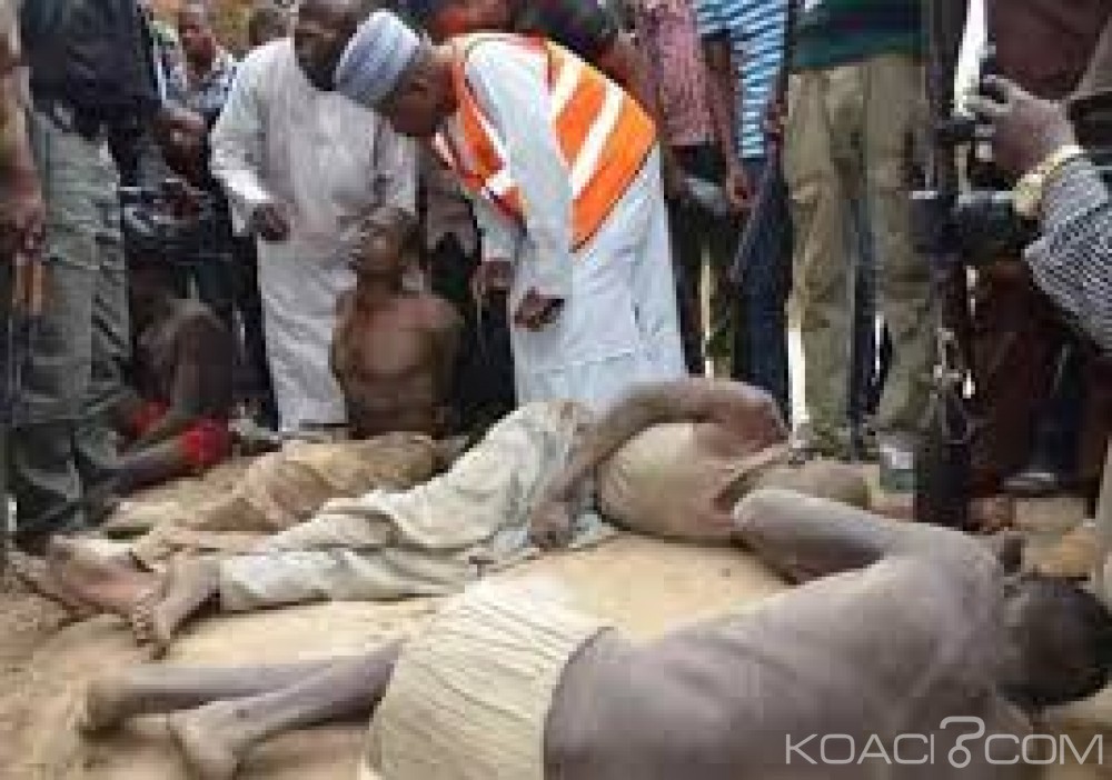 Niger: Une cinquantaine de Boko Haram dont un émir, abattus près de Gueskérou