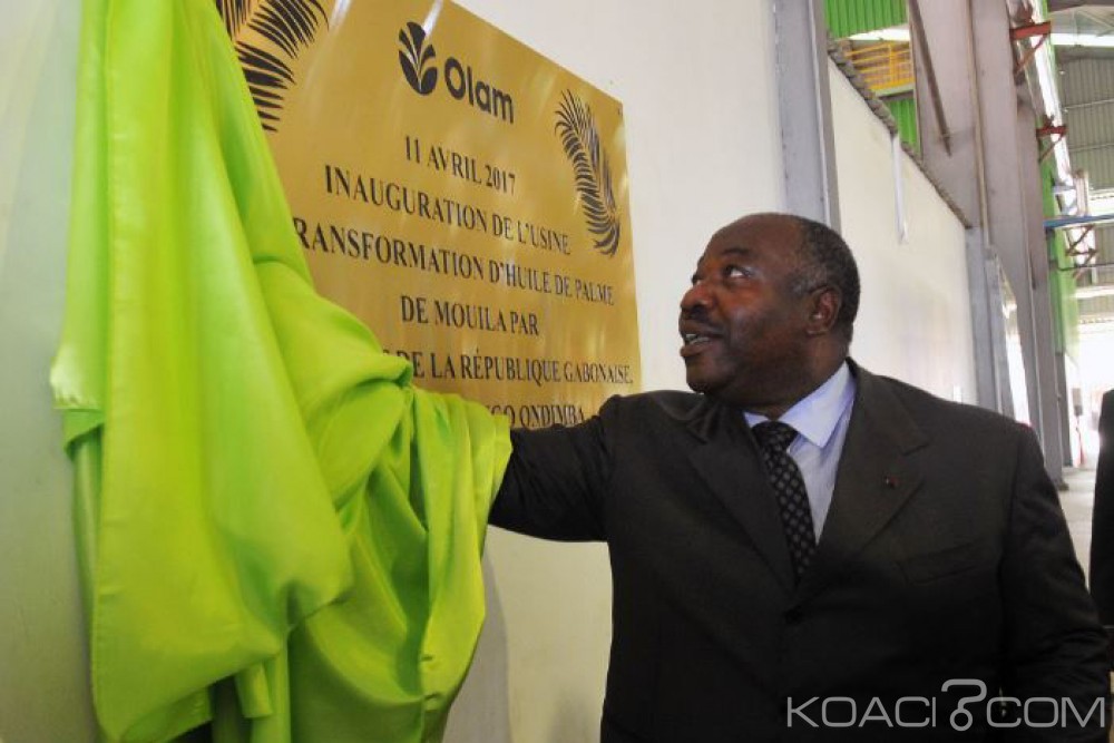 Gabon: 5 ans après avoir planté le premier arbre, Ali Bongo inaugure l'usine de transformation d'huile de palme à  Mboukou