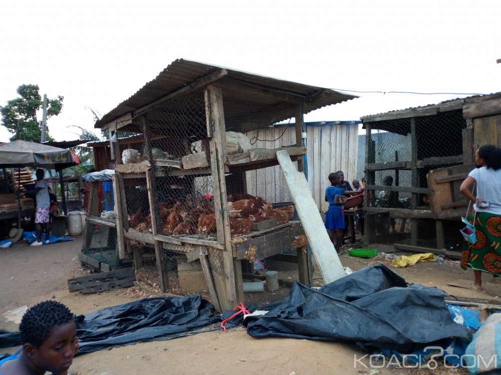 Côte d'Ivoire: Un vendeur de poulet découpé à  la machette et dépouillé de sa recette à  Yopougon