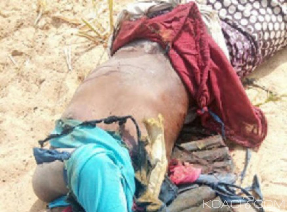 Nigeria: Maiduguri, quatre miliciens tués dans des attaques de kamikazes