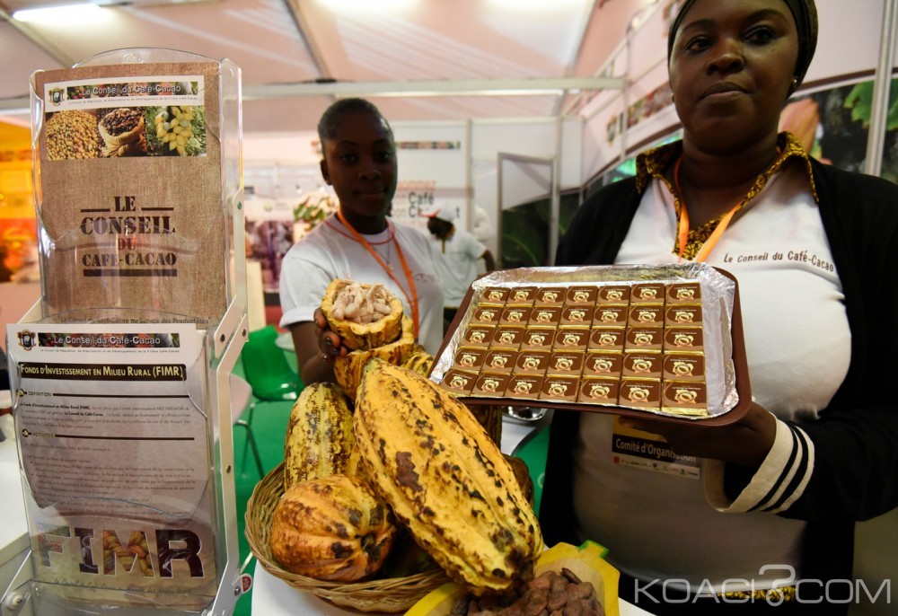 Côte d'Ivoire: Café-Cacao, un syndicat salue les actions du Conseil en faveur de ses membres