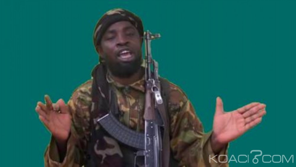 Nigeria: Blessé dans un raid aérien, Abubakar  Shekau soigné vers Kolofata