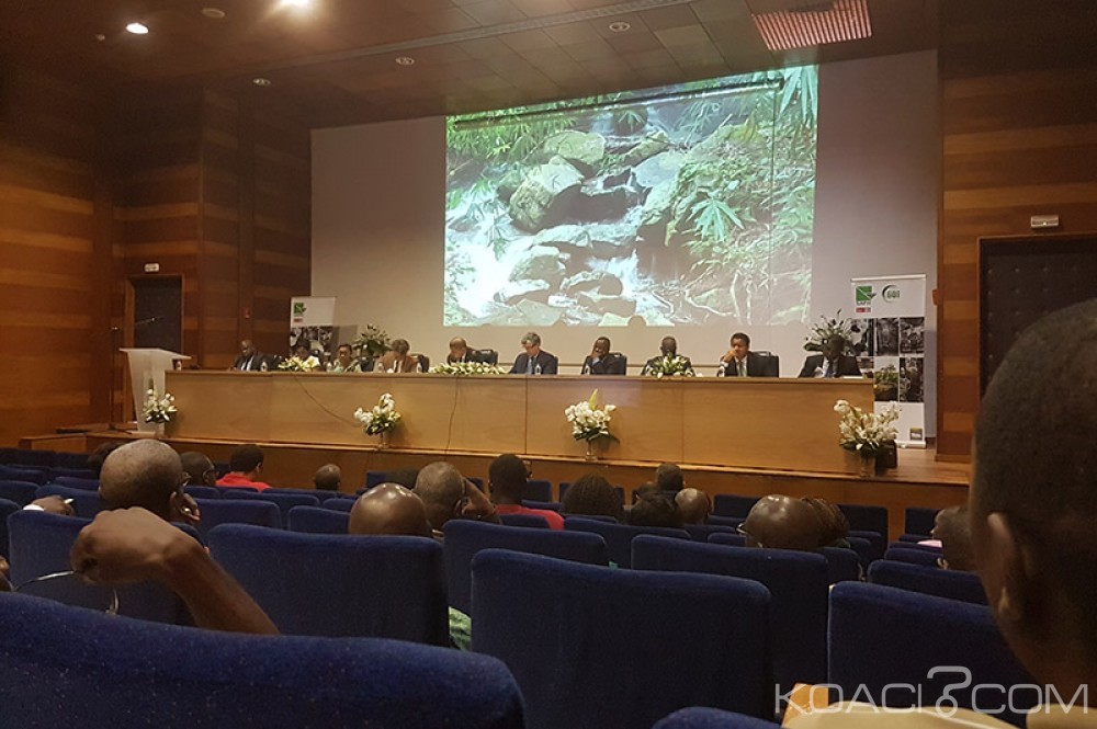 Côte d'Ivoire: SAPH confirme sa bonne forme, déjà  +245% de résultat net au premier trimestre 2017