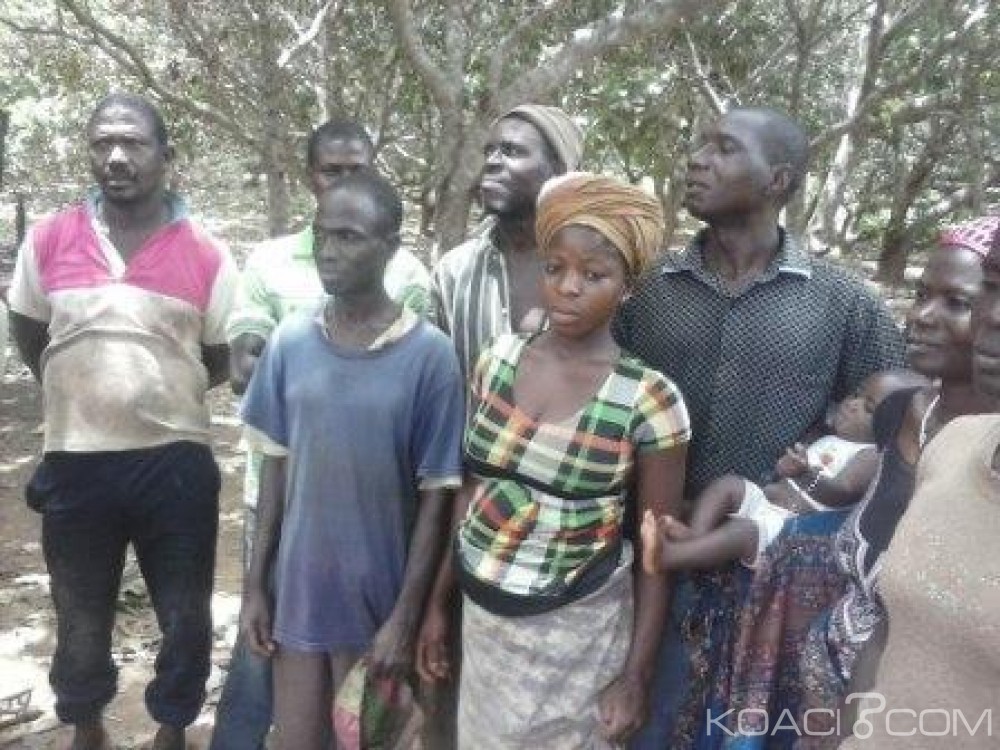 Côte d'Ivoire: Forêts classées, des populations demandent des parcelles au gouvernement