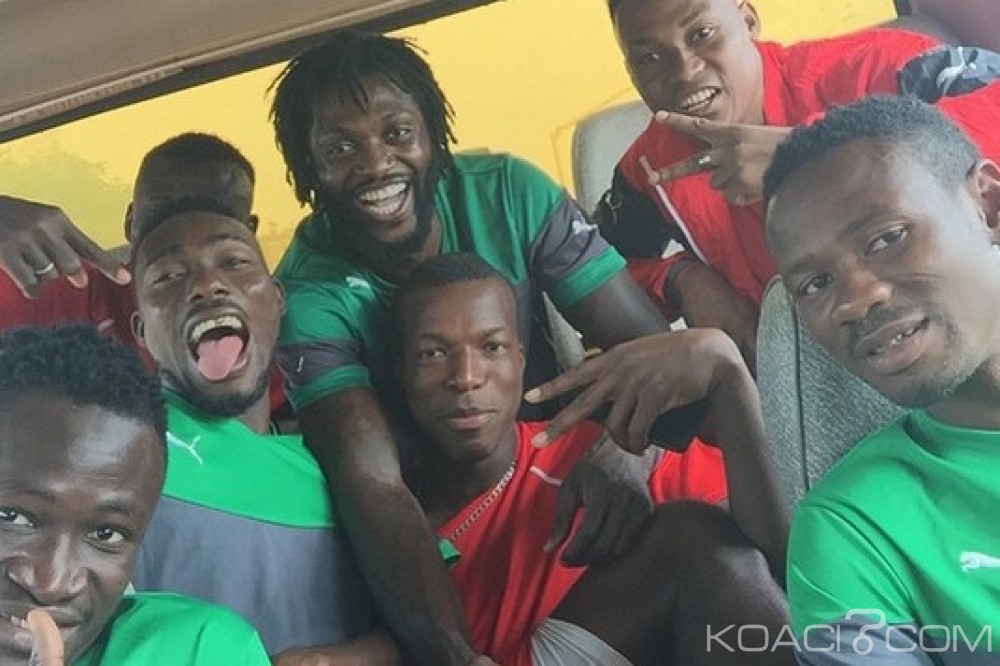 Togo: Éperviers, deux matchs amicaux programmés en France