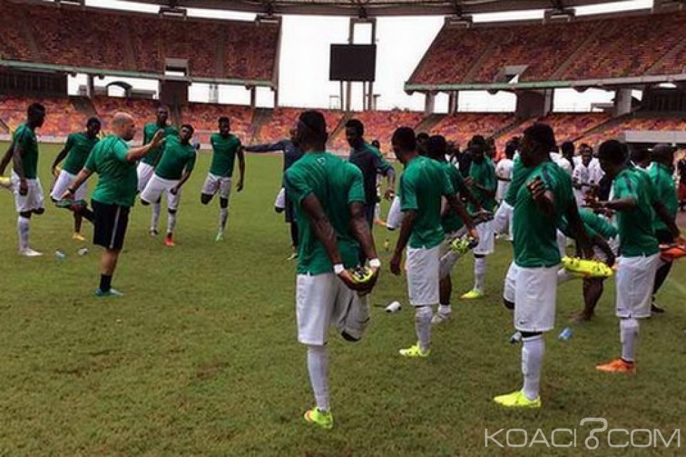 Nigeria: Premier pays exportateur de joueurs professionnels de football en Afrique