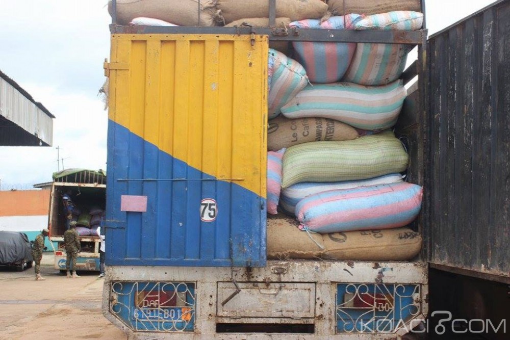 Côte d'Ivoire:  Fuite du cacao, les douanes saisissent plus de 77 tonnes de produits dans le département d'Abengourou