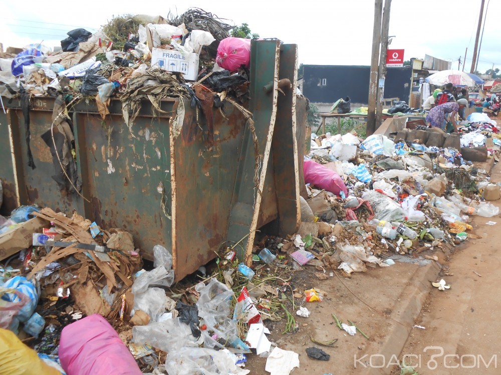 Cameroun: Yaoundé, les poubelles à  ciel ouvert attirent autant que les expositions d'œuvres d'artistiques