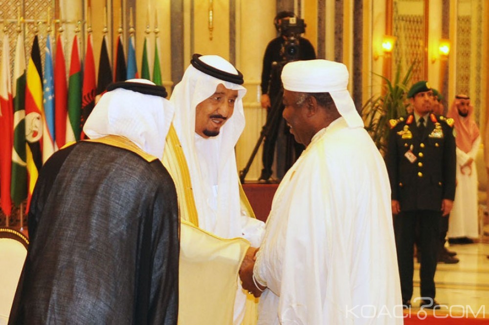 Gabon: A Riyad, Ali Bongo fait le point sur la construction d'un barrage hydroélectrique aux chutes de Tsengue-Leledi