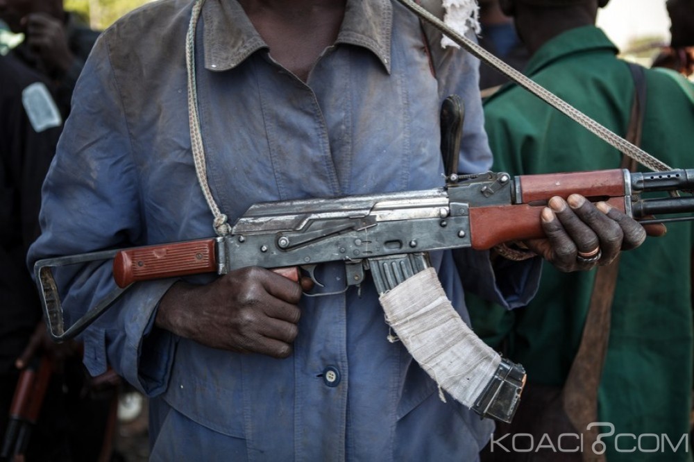 Nigeria:  Boko Haram tue six miliciens dans le nord -est