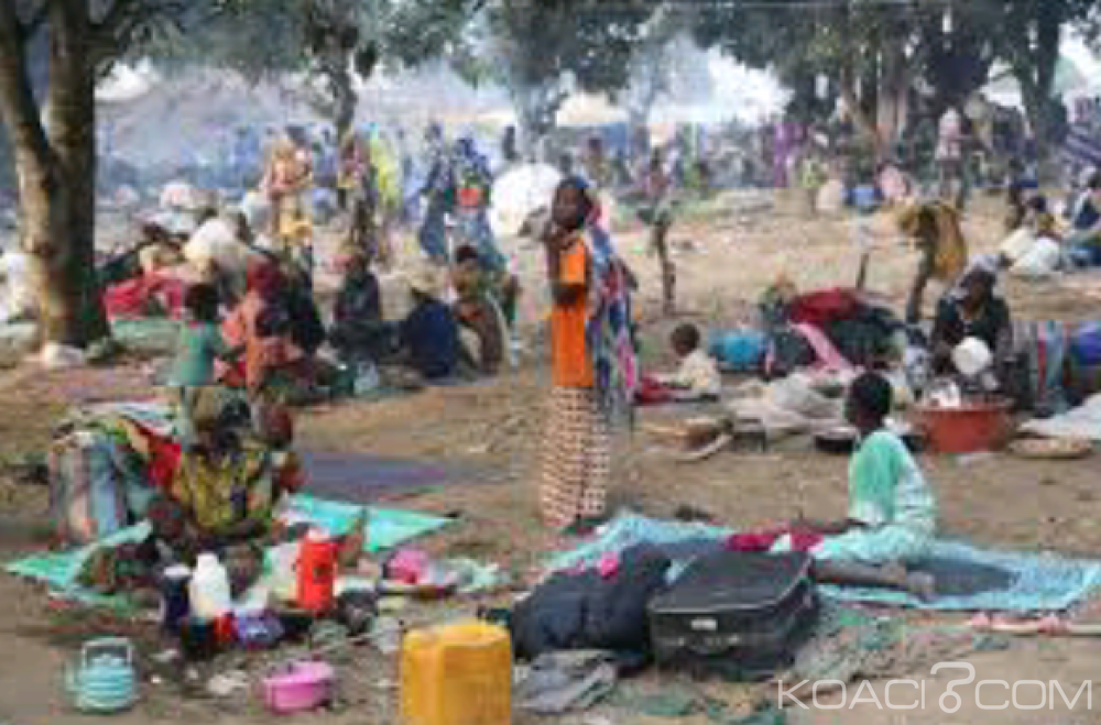 Cameroun: Le gouvernement et le HCR travaillent au soutien des localités d'accueil des 259 145 réfugiés centrafricains