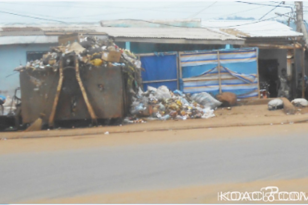 Cameroun: Massacré à  la tronçonneuse, un chien domestique est jeté dans une poubelle