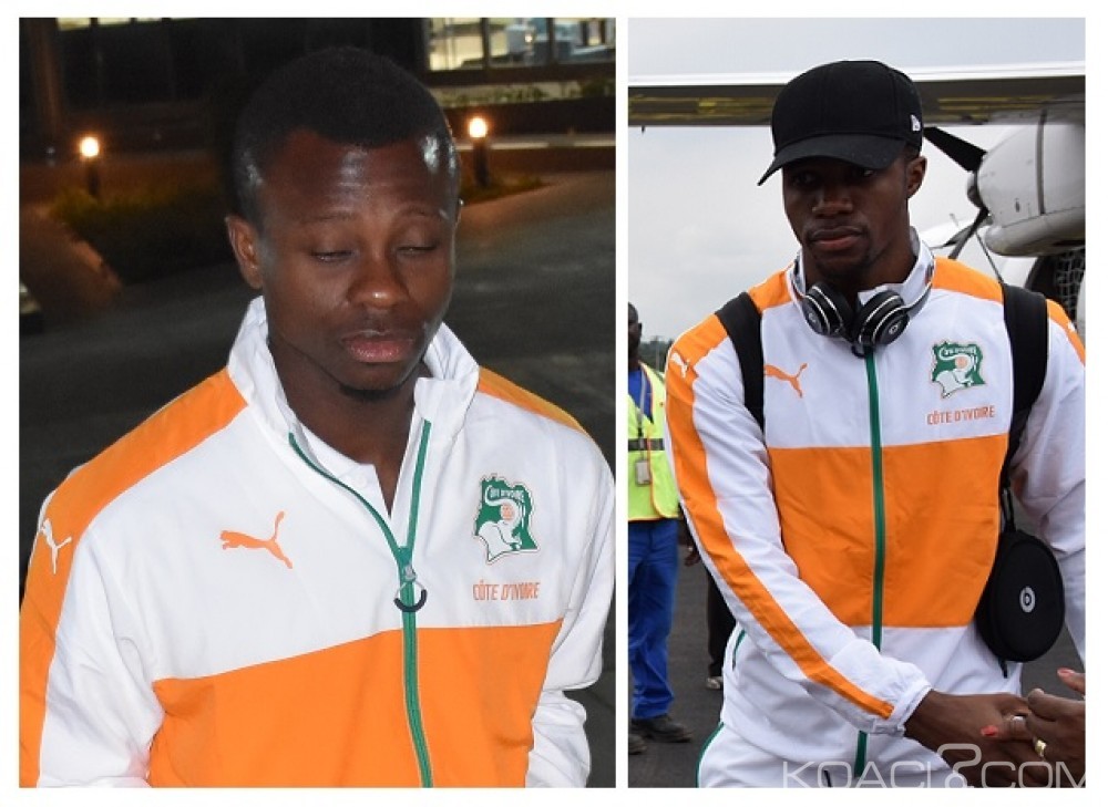 Côte d'Ivoire: La FIF félicite Wilfried Zaha et Mickael Séri pour leurs excellentes saisons en clubs