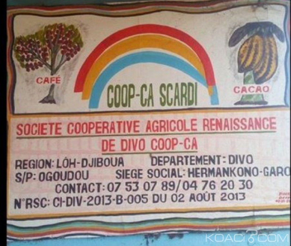 Côte d'Ivoire: Insécurité, des bandits emportent plus de 35 millions d'une coopérative à  Divo