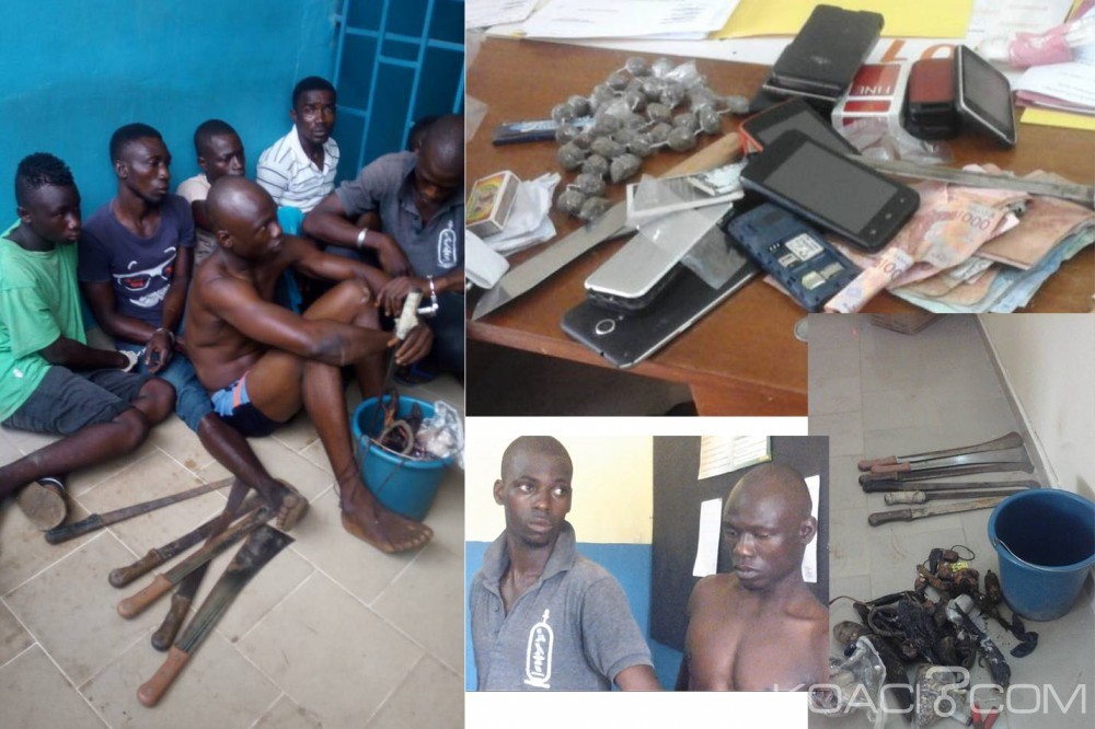 Côte d'Ivoire: Opération épervier 3, démantèlement de fumoirs et arrestations à  Tiassalé et N'Douci