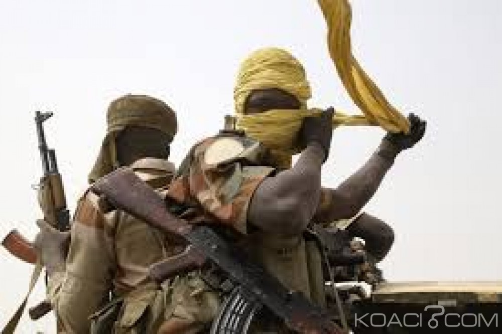 Nigeria: Mort de huit soldats tchadiens dans des combats contre Boko Haram