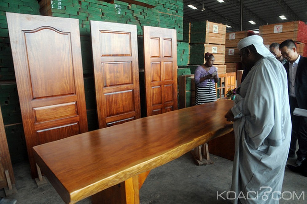 Gabon: Transformation des matières premières sur place, Ali Bongo touche du bois