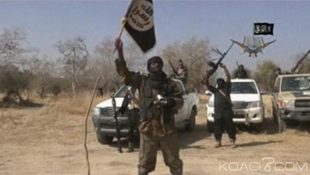 Nigeria: 70 membres présumés de Boko Haram déposent les armes