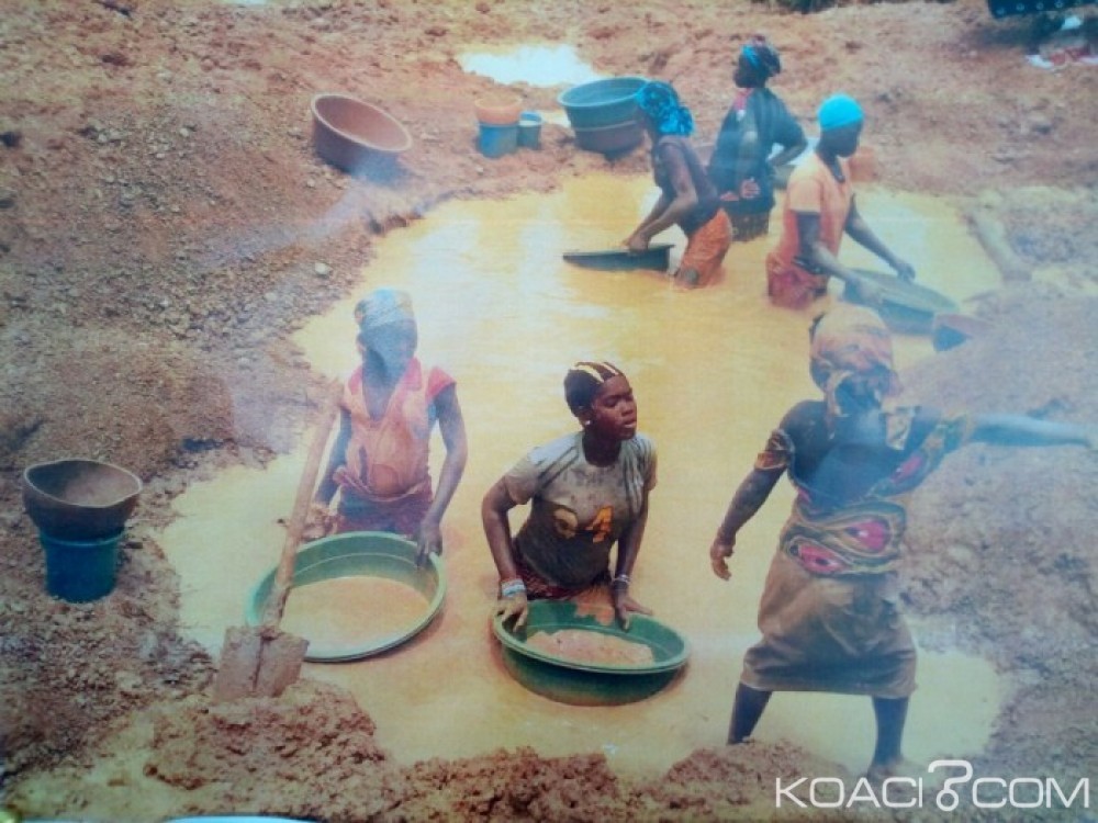 Côte d'Ivoire: Bocanda, un orpailleur clandestin abattu par un septuagénaire