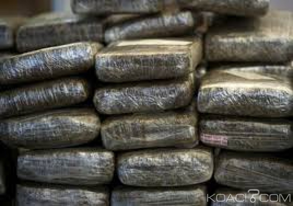 Cameroun: Un présumé trafiquant interpellé en possession d'une cargaison de 75 kg de chanvre indien