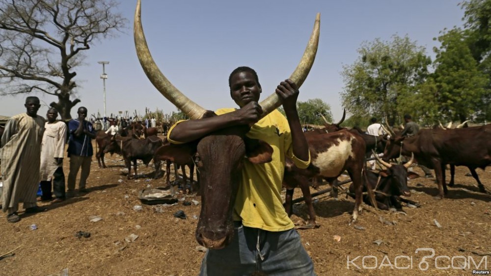 Nigeria: Kaduna, des affrontements entre agriculteurs et peuls font 33 morts au moins