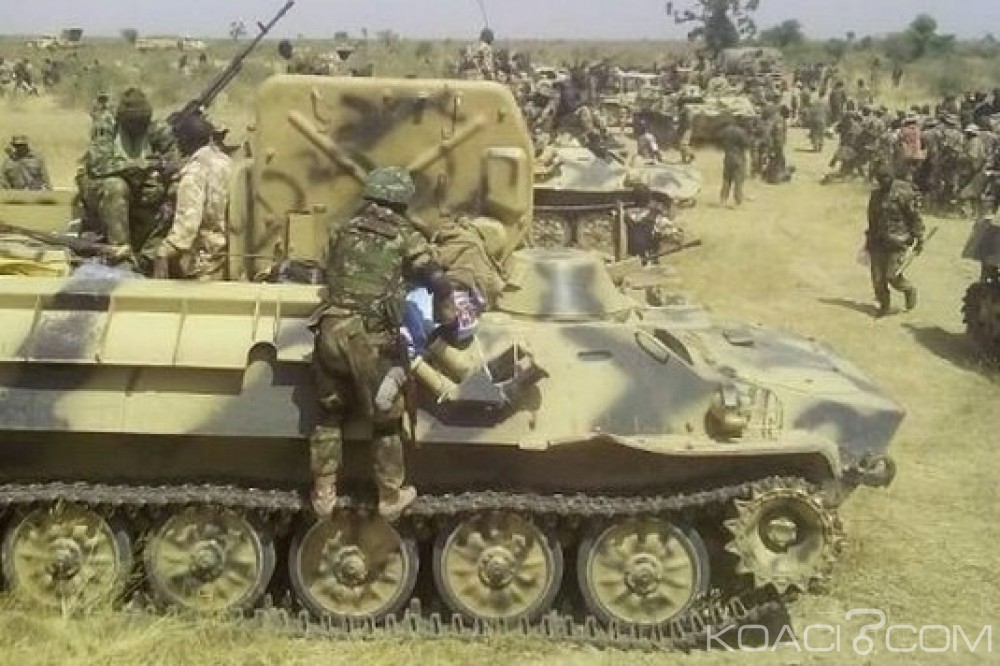 Nigeria: Reddition de neuf terroristes de Boko Haram à  Yobe, trois femmes-kamikazes neutralisées