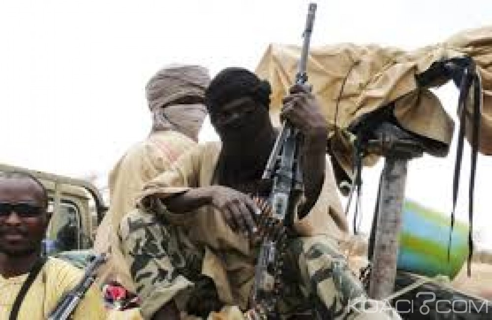 Mali: Deux fournisseurs d'armes  de jihadistes  interceptés par les forces armées  dans le nord