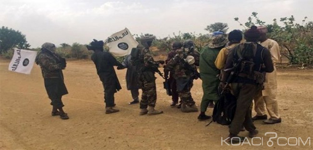 Nigeria: Boko Haram fait 10 morts parmi  les membres d'une mission d'exploration