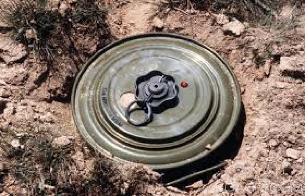 Nigeria:  En fuite , deux marchands tués  par une mine de Boko Haram