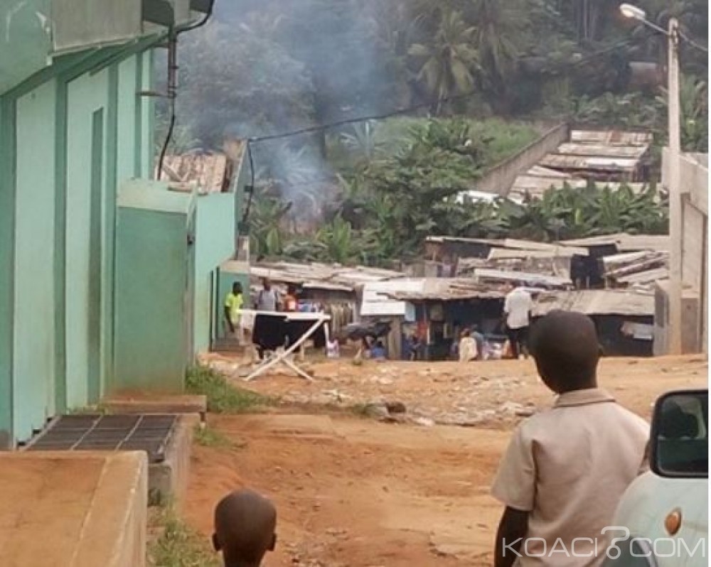Côte d'Ivoire: II Plateaux-Agban, mis en déroute, voici où se cachent les drogués dans l'attente pour récidiver