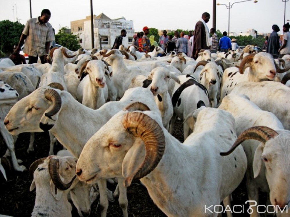 Burkina Faso: La Tabaski prévue le 1er septembre
