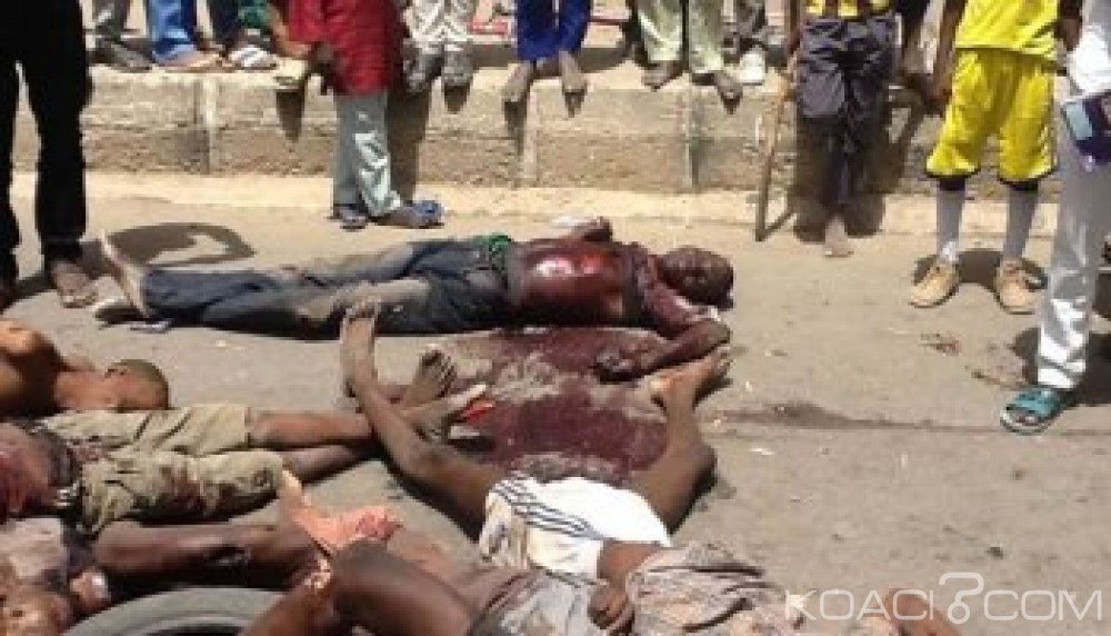 Nigeria: Six villageois dont leur chef égorgés par Boko Haram dans l'Etat de Borno