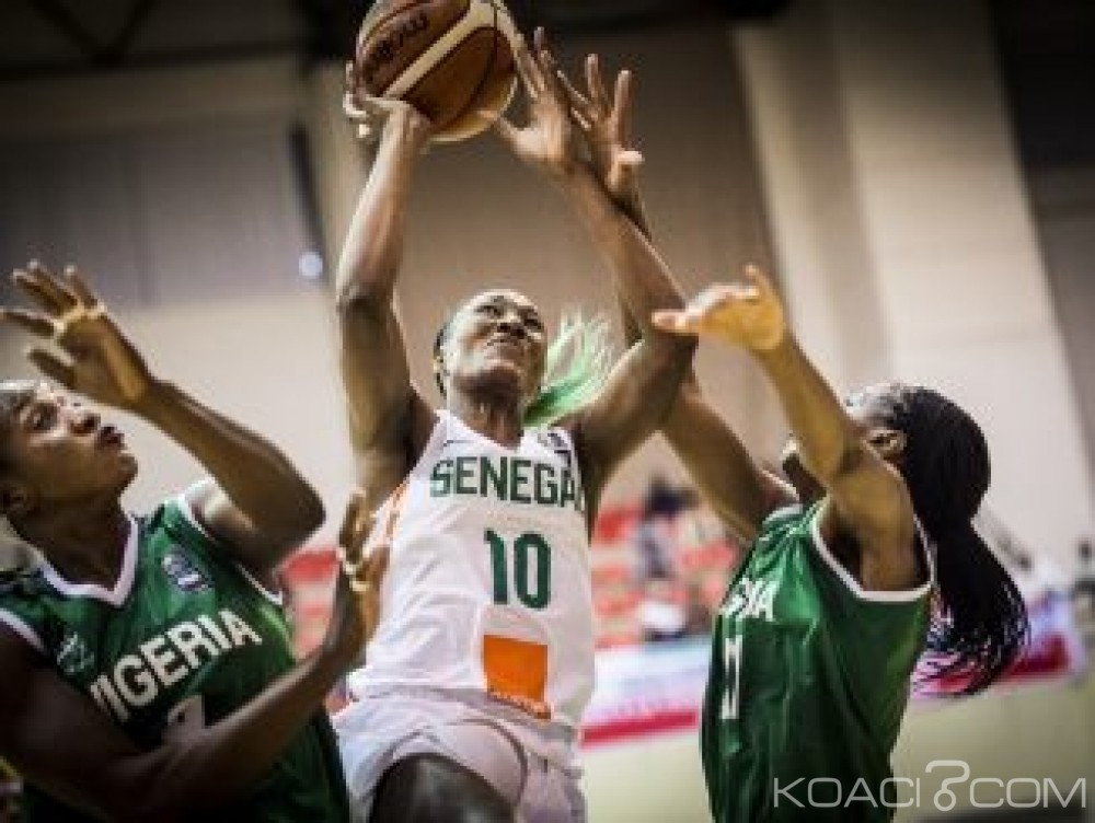 Sénégal: Finale Afrobasket féminin, les Lionnes défendront leur titre face au Nigeria