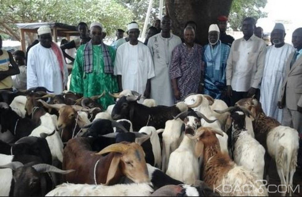 Côte d'Ivoire: Fête de la Tabaski vendredi, il faudra aussi compter avec le show des microbes