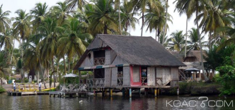 Côte d'Ivoire: Drame, une femme mordue mortellement par des chiens à  Assinie Assouindé