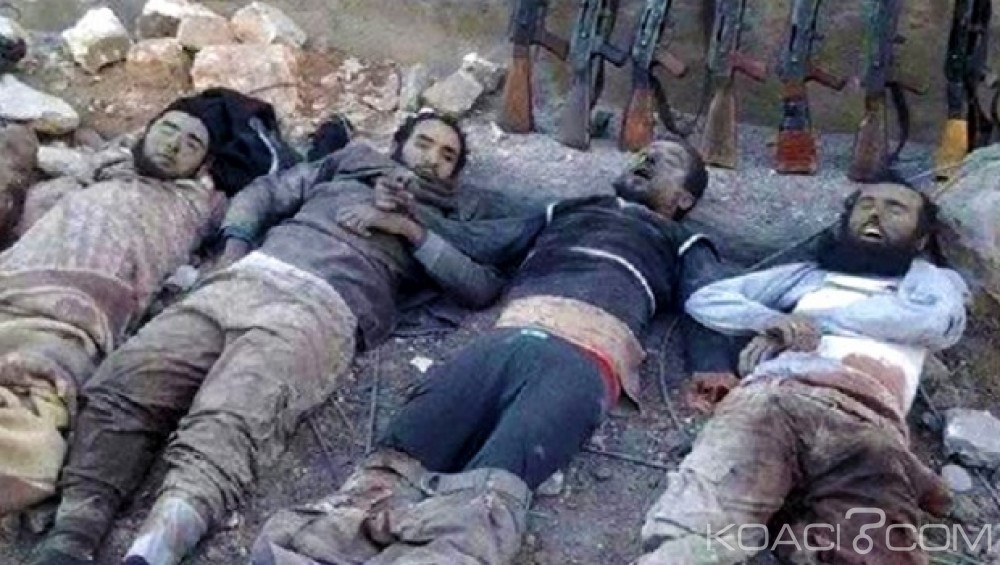 Egypte: Dix terroristes abattus dans des appartements près du Caire